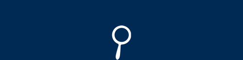 Magnifying Glass Icon
