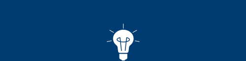 Light Bulb Icon