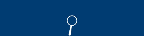 Magnifying Glass Icon